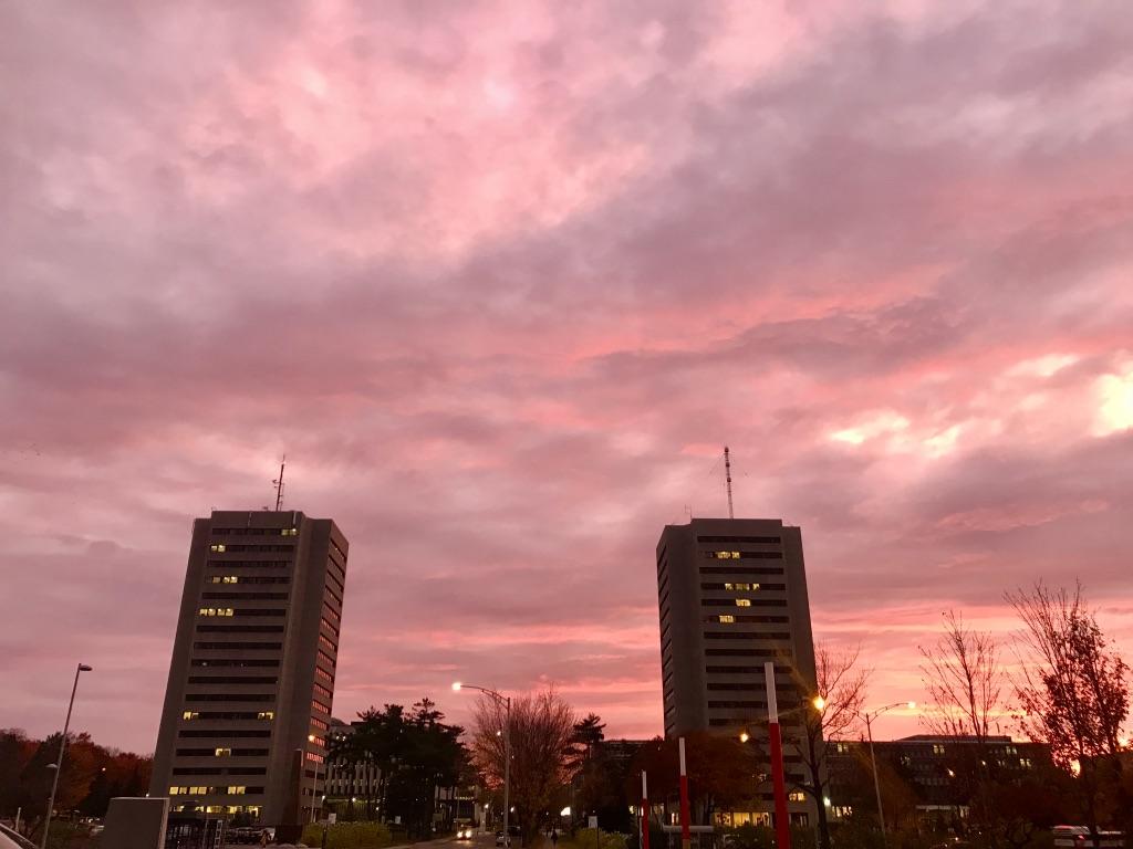 Université Laval.jpg